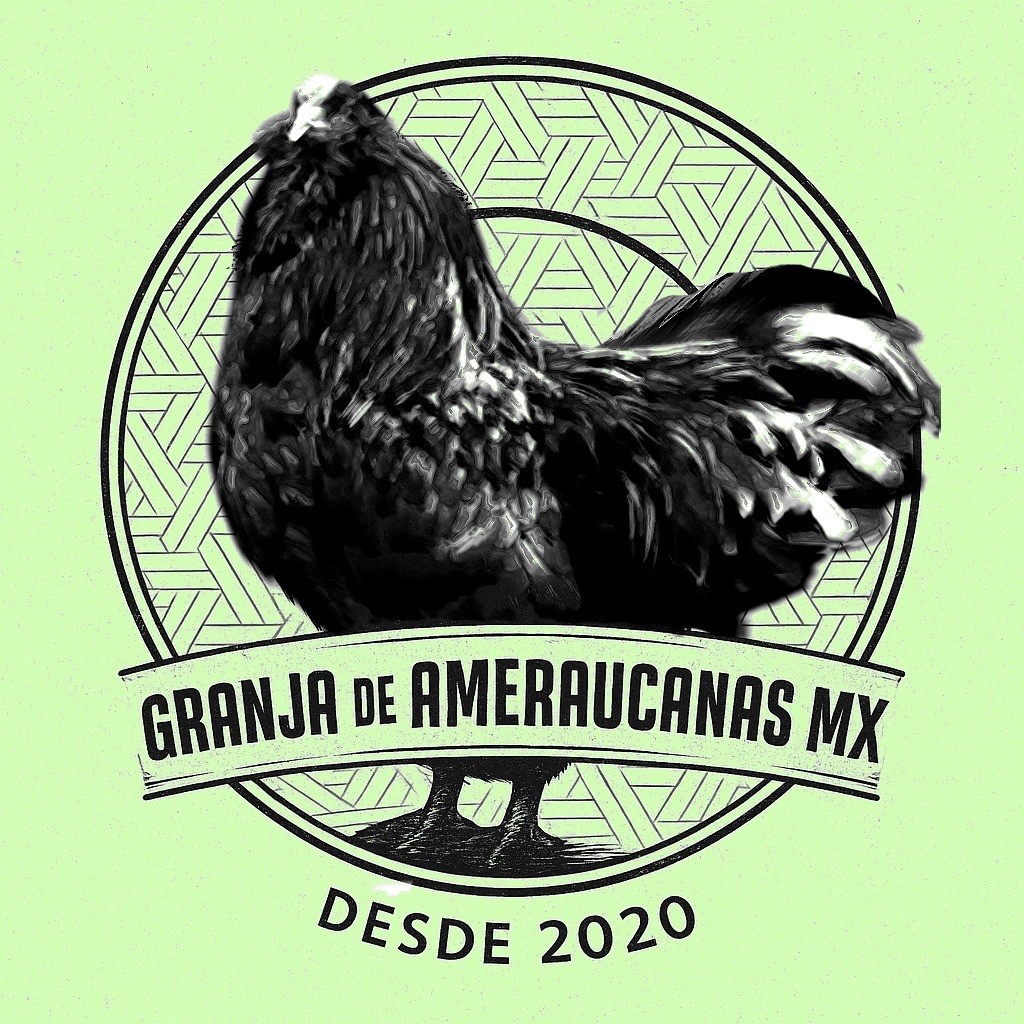 granja de ameraucanas.mx